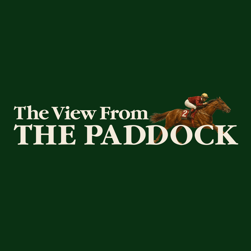 Paddock launch image